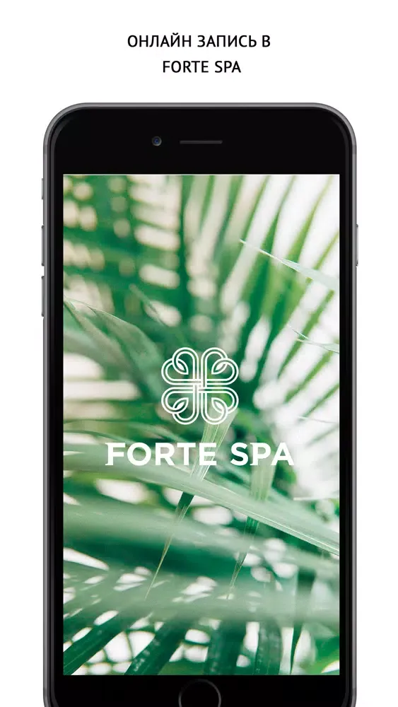 تصاویر Forte SPA