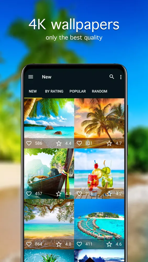 Summer Wallpapers 4K Screenshots