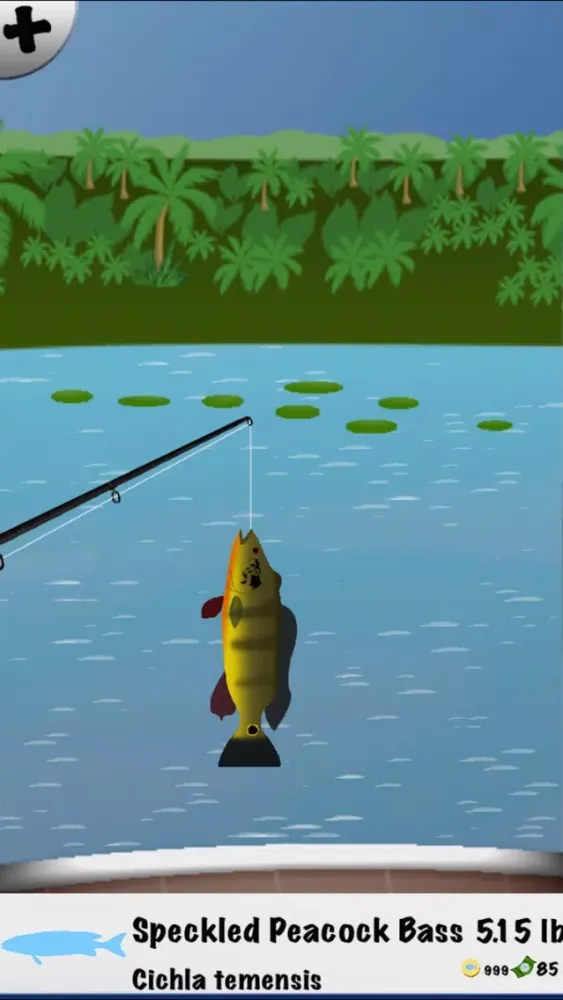 Screenshot di Summer Fishing