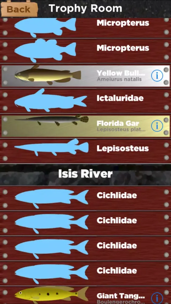 Screenshot di Summer Fishing
