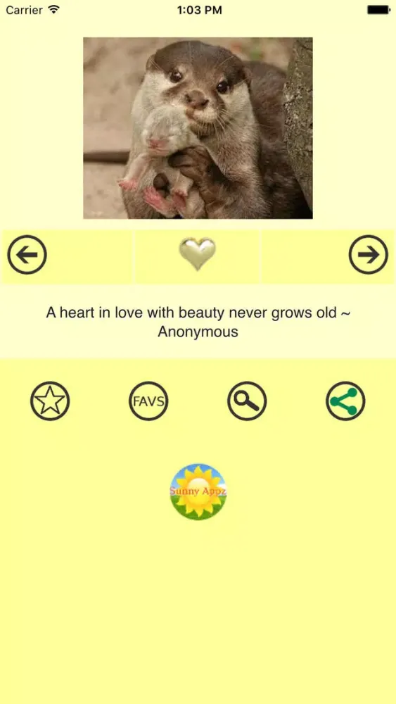 Capturas de tela do Love Quotes & Pictures