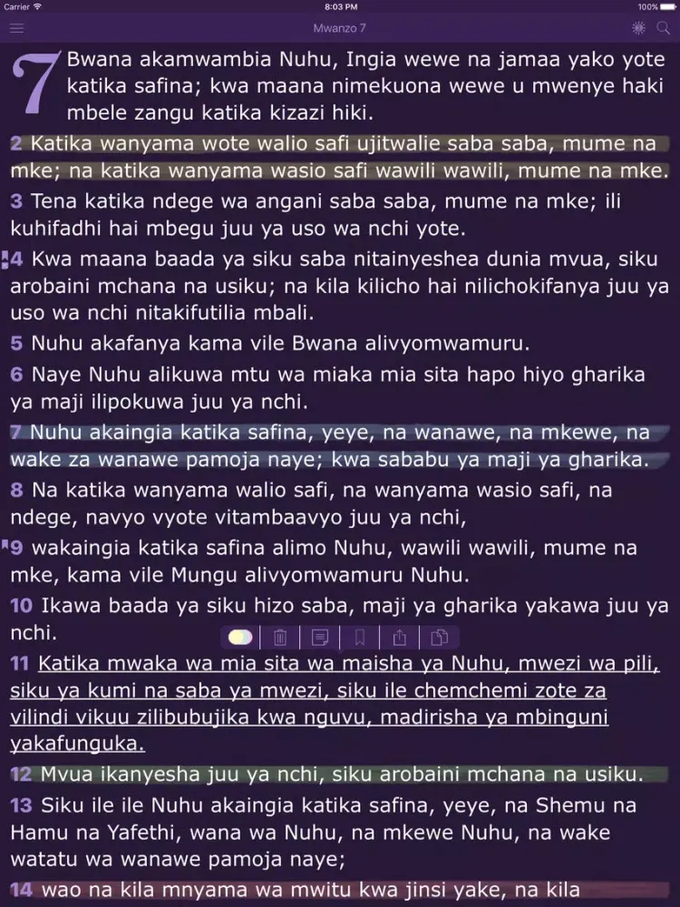 Capturas de pantalla de Swahili Women's Bible - Biblia Takatifu for Women iPad 