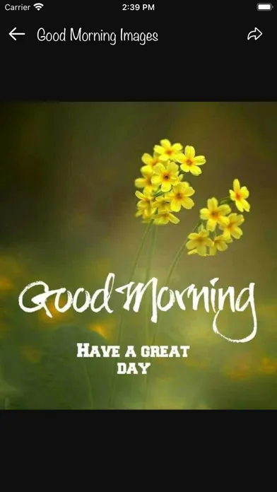 Good Morning Love Messages应用截图