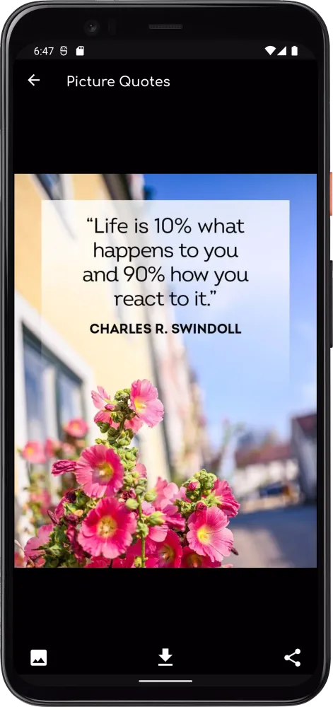 Ảnh chụp màn hình của Life Quotes