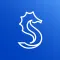Solomon Win - 港美股智能交易平台