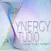 Synergy Studio