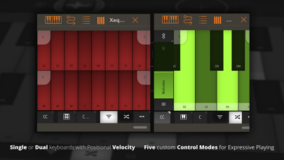 Xequence AU | Keys Screenshots