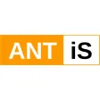 Y3T Antis Y3T Antis