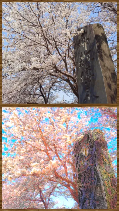 صور Impressionism - Oil Paint Art