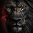 Lion Wallpapers HD 4K