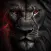 Lion Wallpapers HD 4K