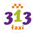 Taxi 313