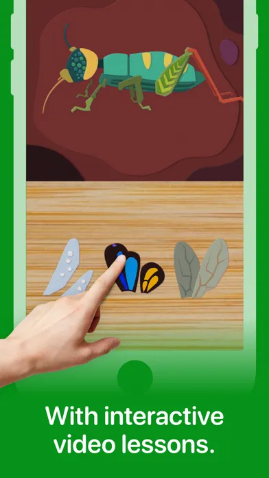 ภาพหน้าจอของ Fun Insects & Bugs for Kids