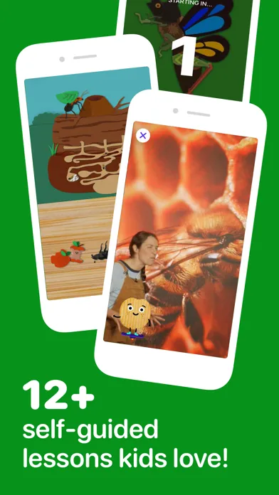 ภาพหน้าจอของ Fun Insects & Bugs for Kids