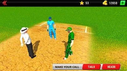 Tangkapan layar Real World Cricket League 19