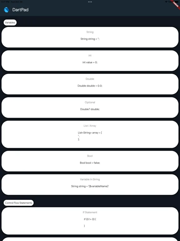 DartPad iPad  스크린샷