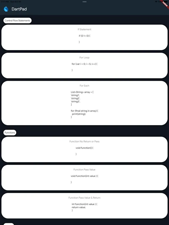 DartPad iPad  스크린샷