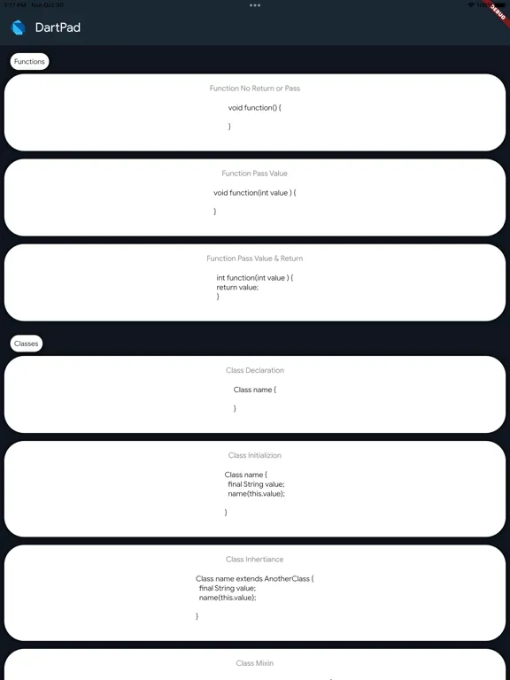 DartPad iPad  스크린샷