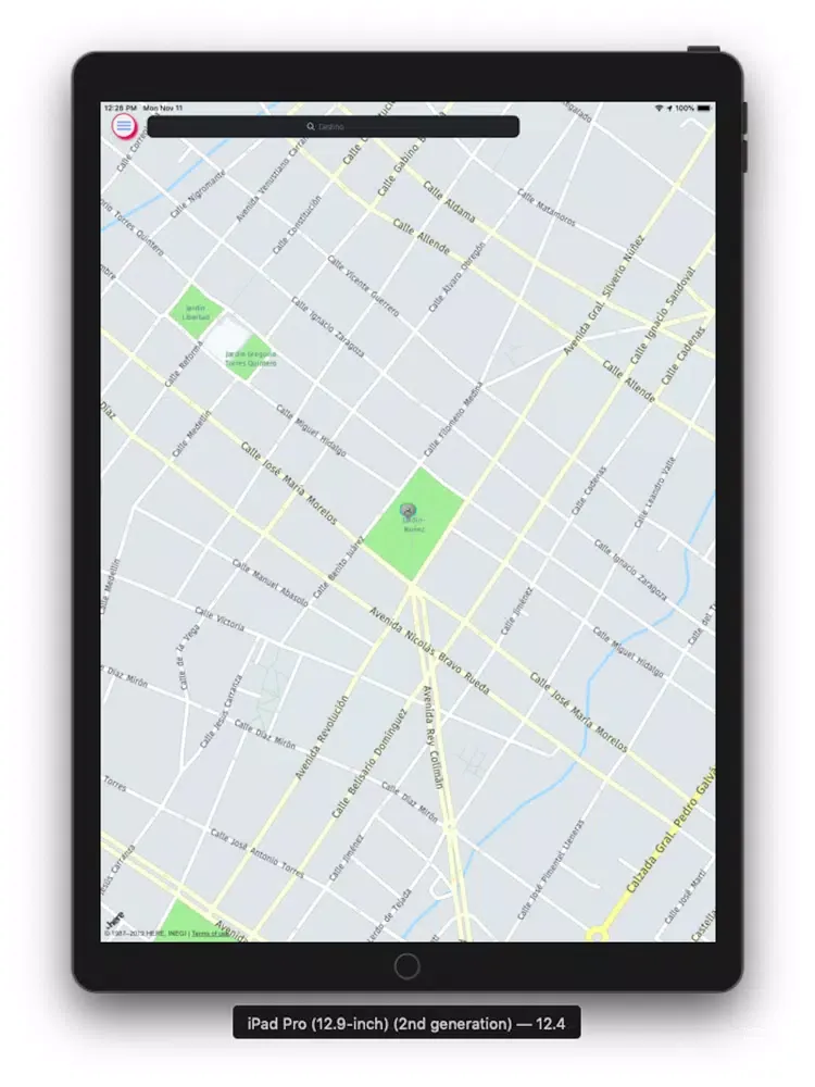 TaxiCDMX iPad  স্ক্রিনশট
