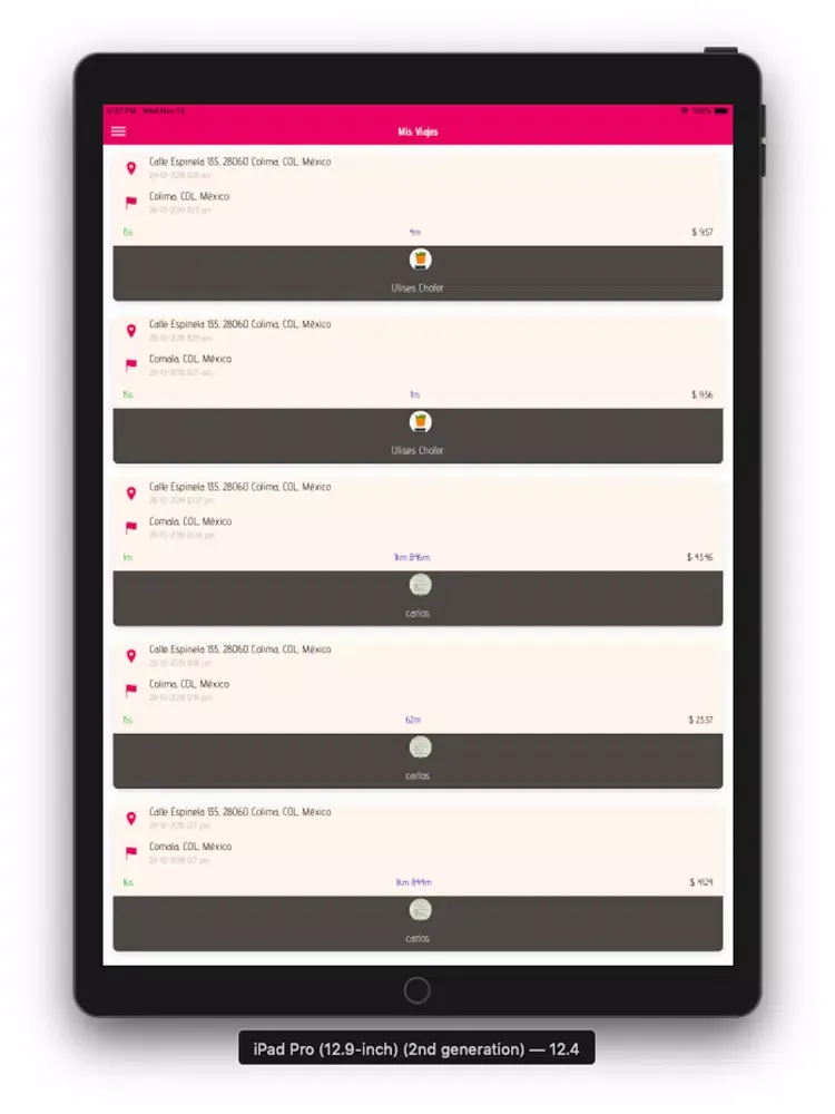 TaxiCDMX iPad  স্ক্রিনশট