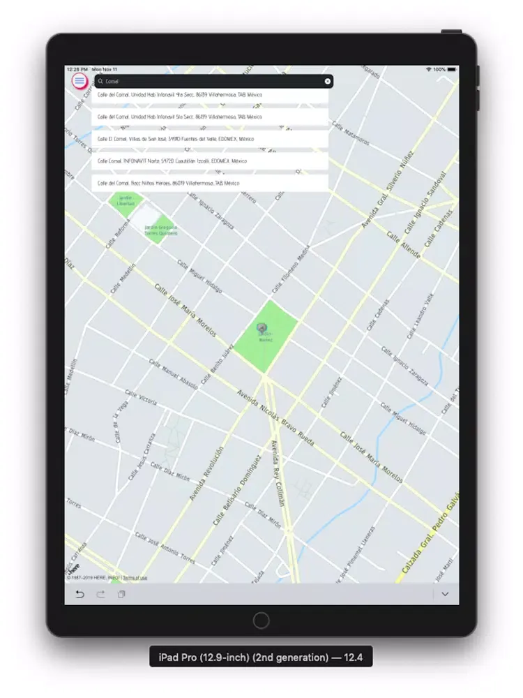 TaxiCDMX iPad  স্ক্রিনশট