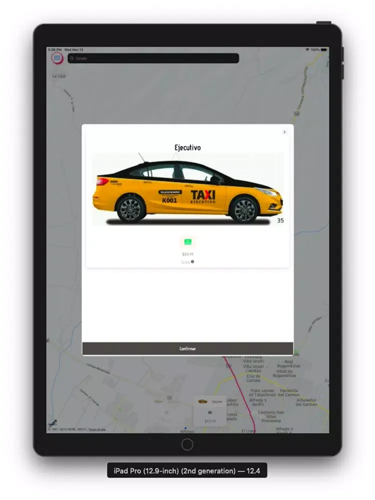 TaxiCDMX iPad  স্ক্রিনশট