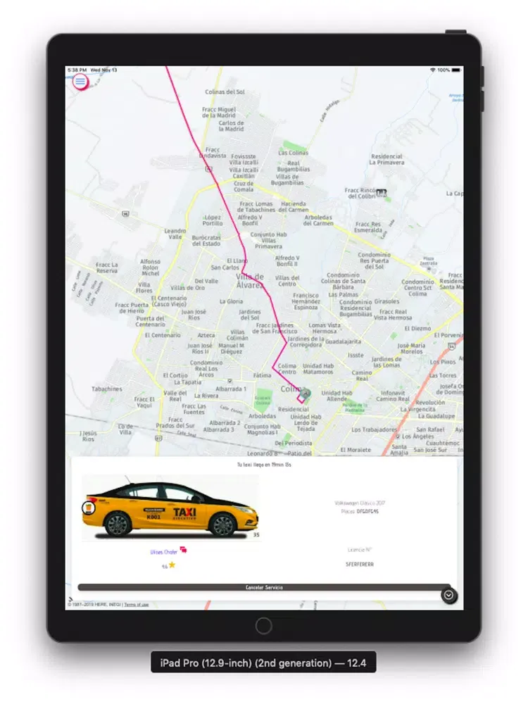 TaxiCDMX iPad  স্ক্রিনশট