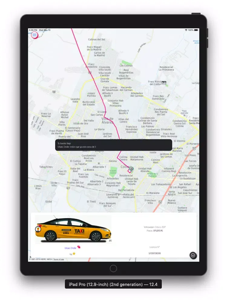 TaxiCDMX iPad  স্ক্রিনশট