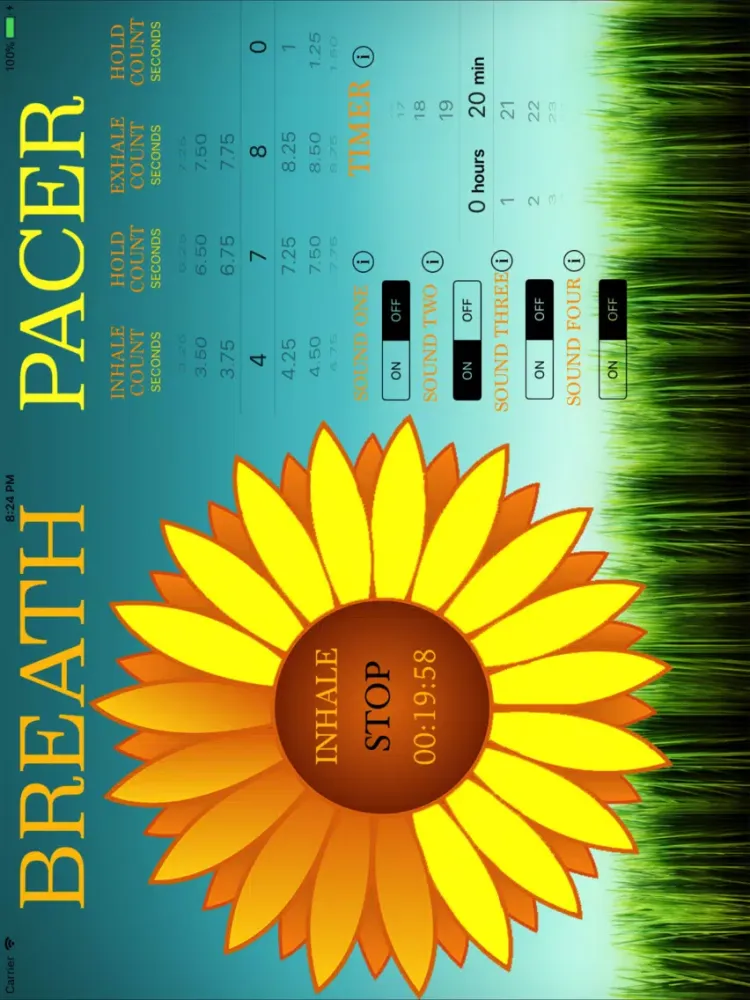 Скриншоты Breath Pacer iPad 
