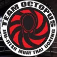 Team Octopus