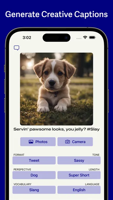 AI Photo Captions - 1000 Words應用截圖