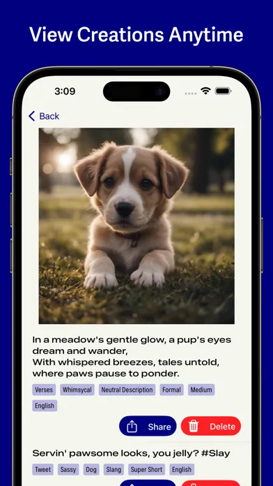 AI Photo Captions - 1000 Words應用截圖