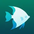 Aquarium Journal Aquarium Journal