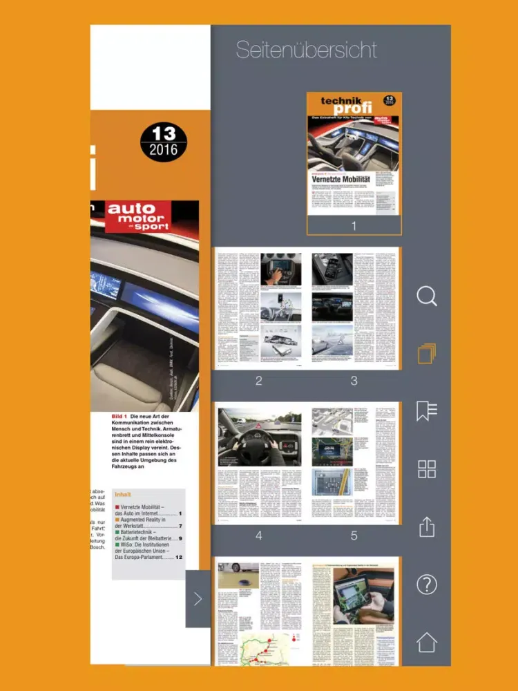 Скриншоты AMS Professional iPad 