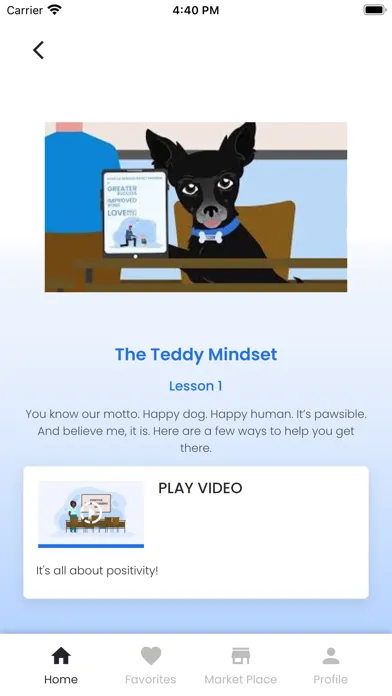 تصاویر TEDDY: Positive Dog Training