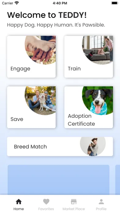 تصاویر TEDDY: Positive Dog Training