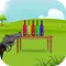 Bottle Shoot 3D : Shooting Expert