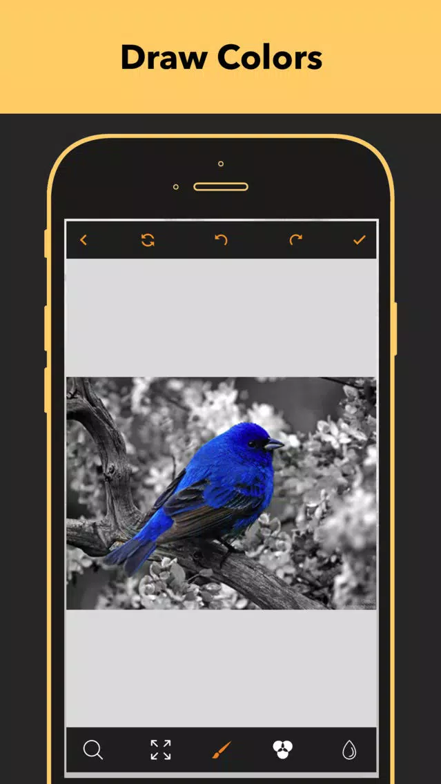 Capturas de pantalla de Color Splash - Photo Splash