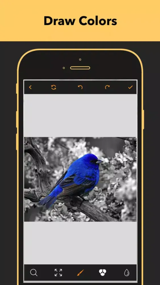 Capturas de tela do Color Splash - Photo Splash
