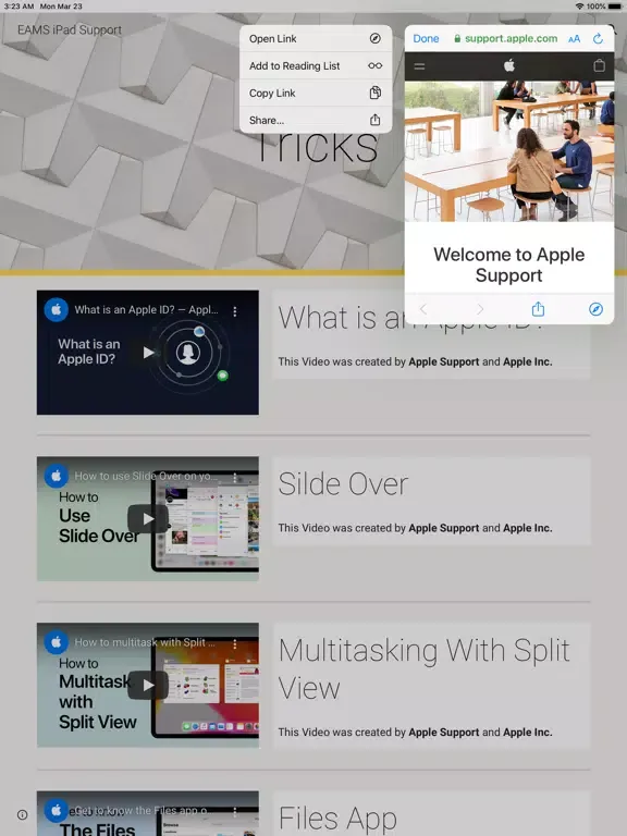 Screenshot di EAMS Support iPad 