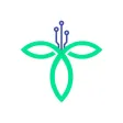 trillium.health