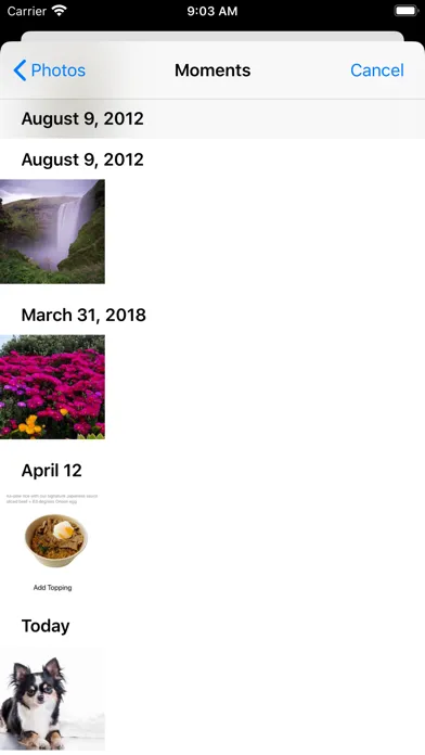 صور dog background remover