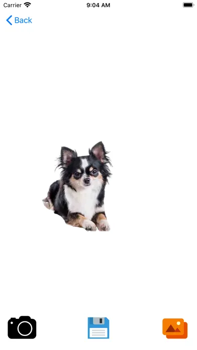 صور dog background remover