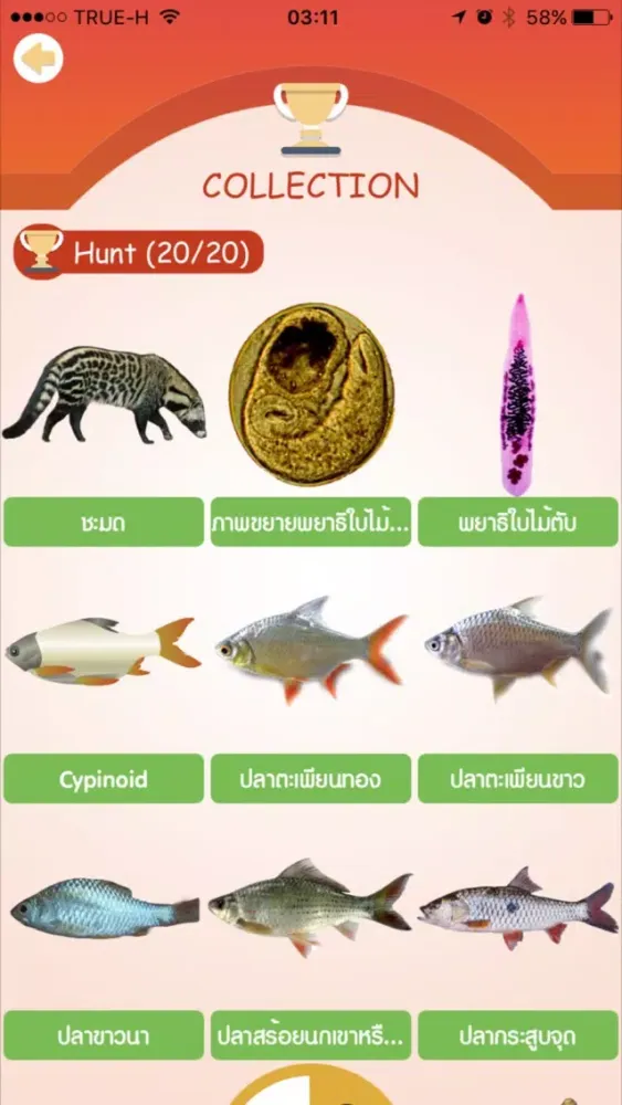 Скриншоты KKU Parasite Hunt
