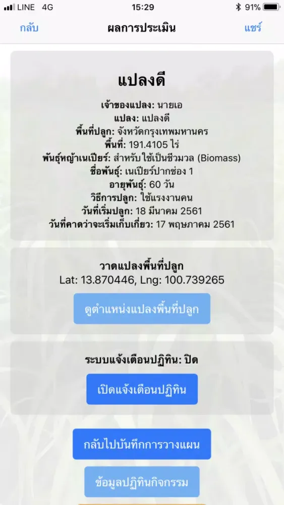 หญ้าเนเปียร์เพื่อพลังงาน Ekran Görüntüleri