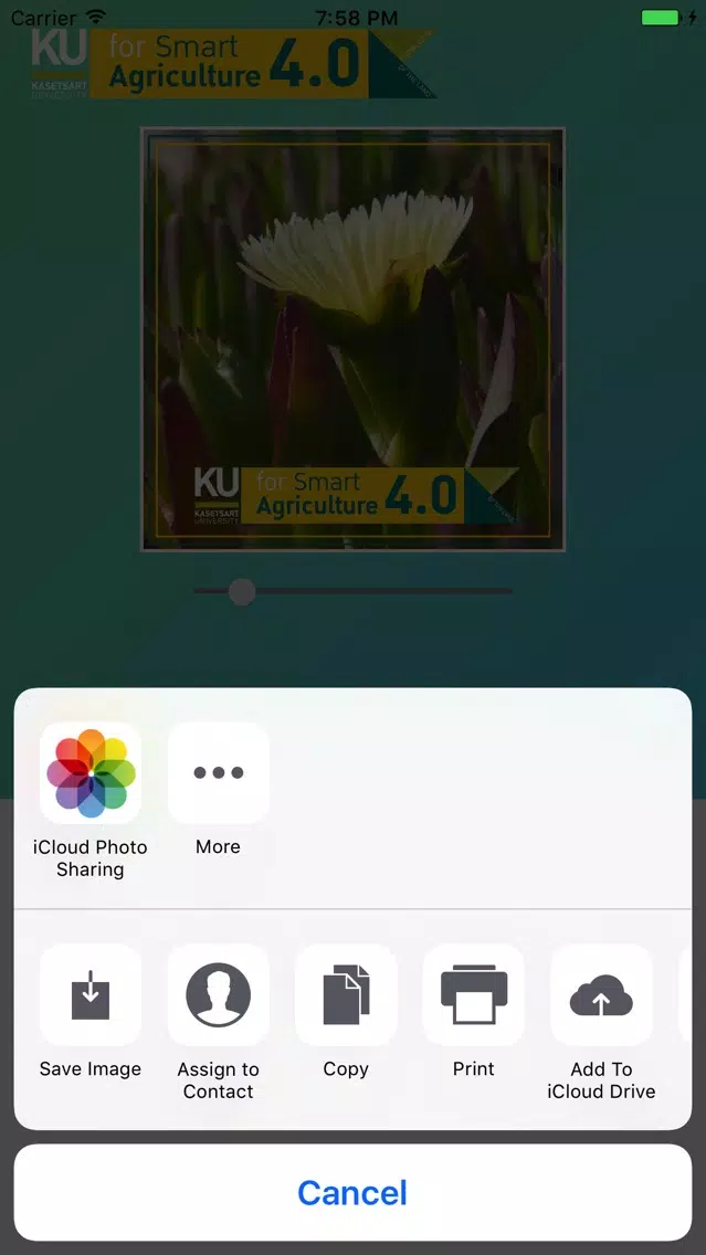 ภาพหน้าจอของ KU4.0