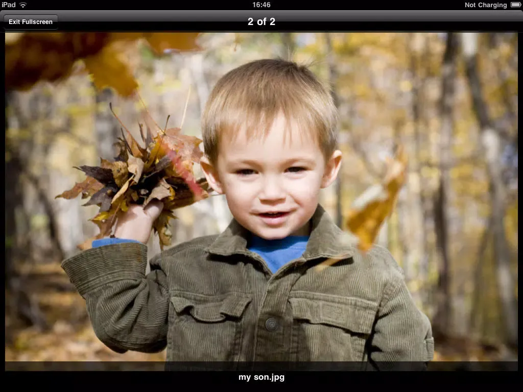 Скриншоты Private Photo Lock lite - Secure your photo iPad 