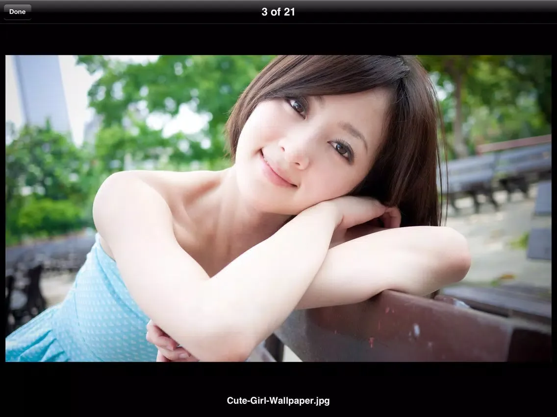 Скриншоты Private Photo Lock lite - Secure your photo iPad 