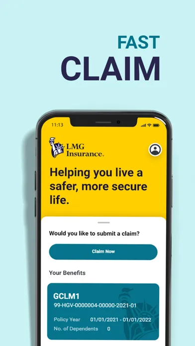 Captures d'écran de LMG Insurance