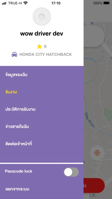 Zrzuty ekranu DLT Driver